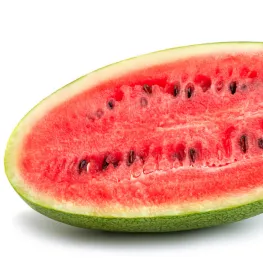 product-263-263 product-263-263